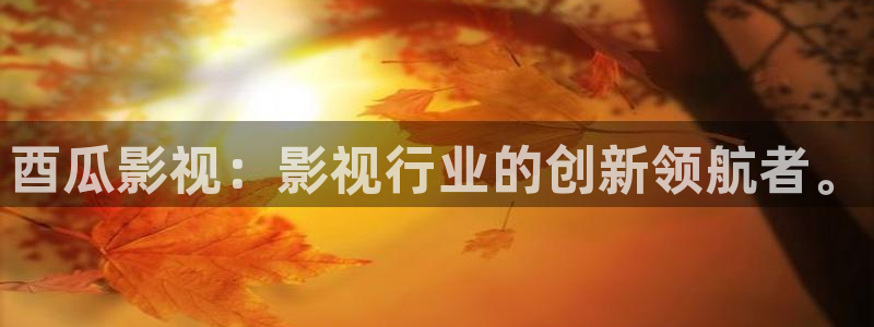 草莓视频com..