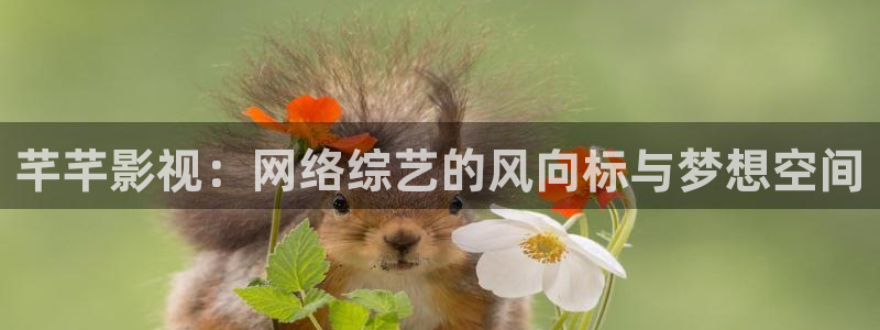 草莓视频日本在线观看：芊芊影视：网络综艺的风向标与梦想空间