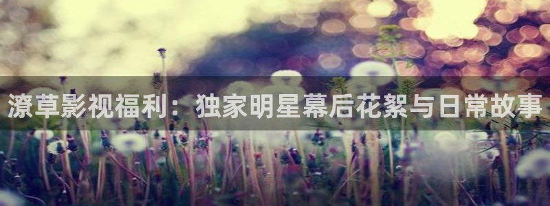 草莓栽培视频大全：潦草影视福利：独家明星幕后花絮与日常故事