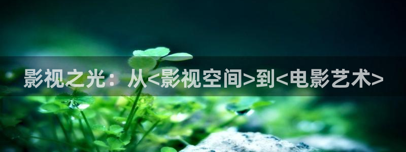 草莓视频黄色版：影视之光：从<影视空间>到<电影艺术>