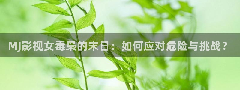 草莓呜呜视频：MJ影视女毒枭的末日：如何应对危险与挑战？