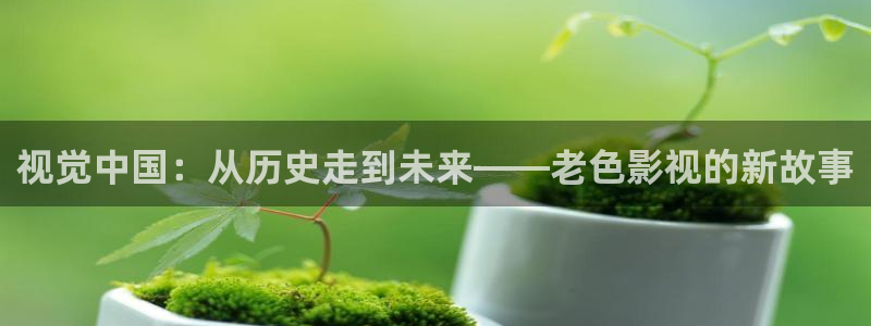 草莓视频午夜：视觉中国：从历史走到未来——老色影视的新故事