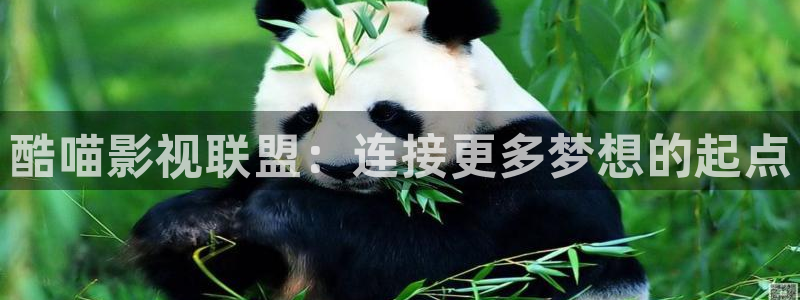 草莓视频下载草莓：酷喵影视联盟：连接更多梦想的起点